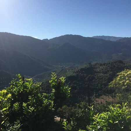 Gite , Maison De Vacances Avec Exterieur Et Terrasse Fleurie Meuble Tourisme 3 Etoiles Santa-Lucia-di-Tallano Eksteriør billede