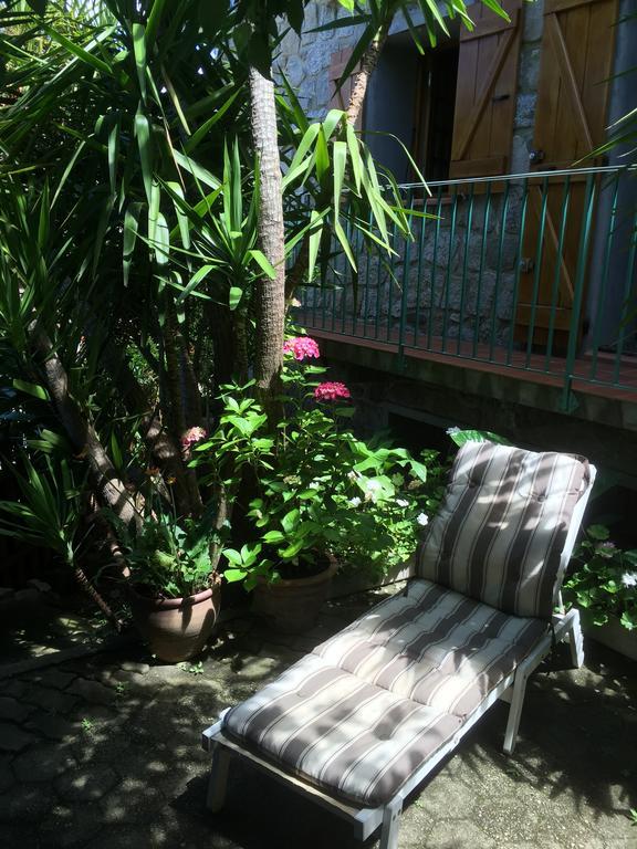 Gite , Maison De Vacances Avec Exterieur Et Terrasse Fleurie Meuble Tourisme 3 Etoiles Santa-Lucia-di-Tallano Eksteriør billede