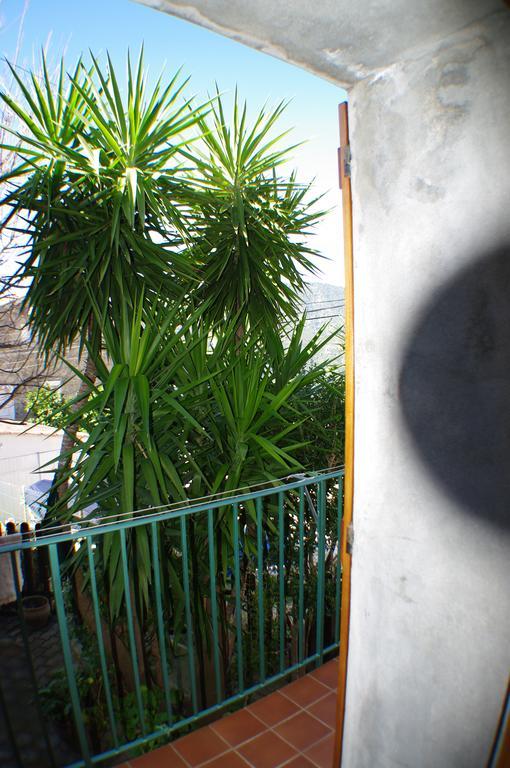 Gite , Maison De Vacances Avec Exterieur Et Terrasse Fleurie Meuble Tourisme 3 Etoiles Santa-Lucia-di-Tallano Eksteriør billede