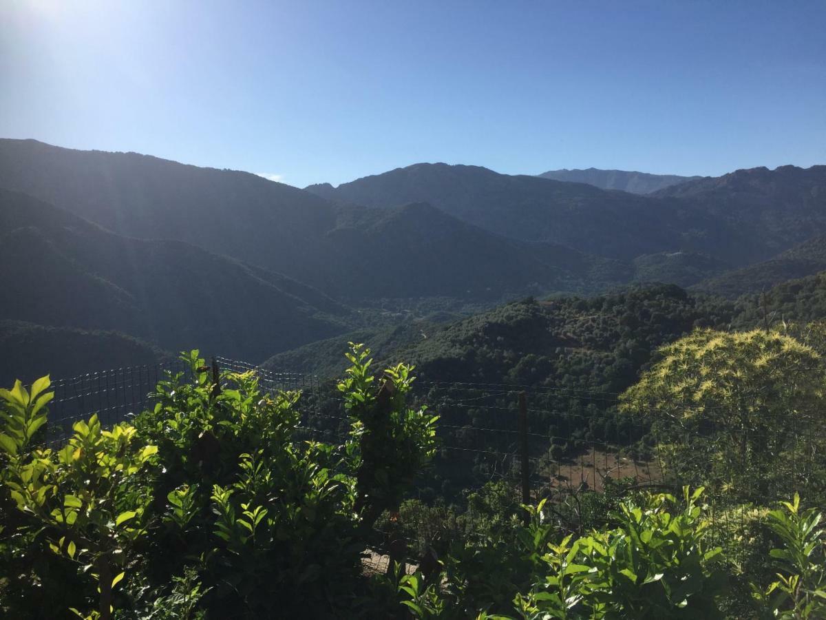 Gite , Maison De Vacances Avec Exterieur Et Terrasse Fleurie Meuble Tourisme 3 Etoiles Santa-Lucia-di-Tallano Eksteriør billede