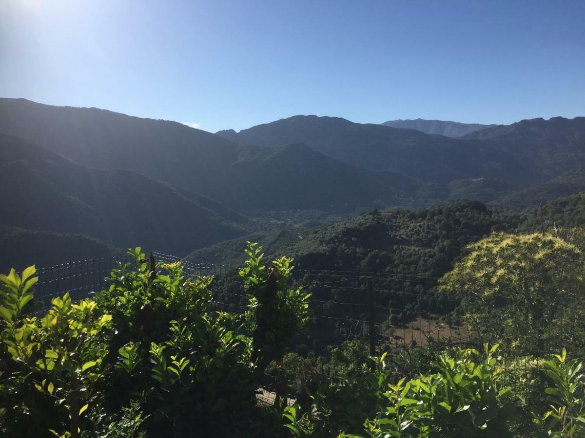 Gite , Maison De Vacances Avec Exterieur Et Terrasse Fleurie Meuble Tourisme 3 Etoiles Villa Santa-Lucia-di-Tallano Eksteriør billede