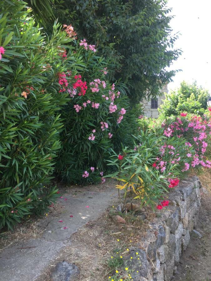 Gite , Maison De Vacances Avec Exterieur Et Terrasse Fleurie Meuble Tourisme 3 Etoiles Santa-Lucia-di-Tallano Eksteriør billede
