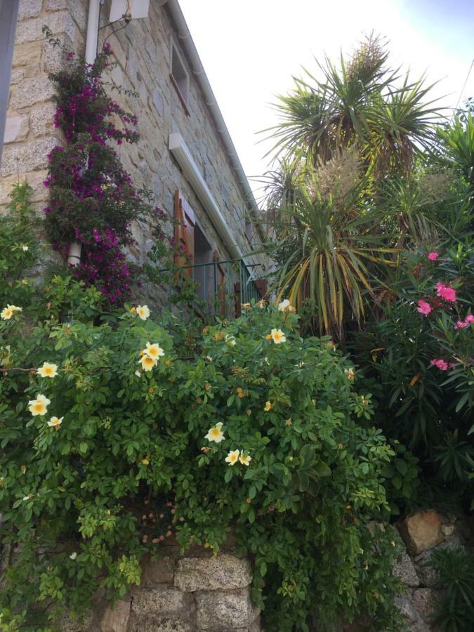 Gite , Maison De Vacances Avec Exterieur Et Terrasse Fleurie Meuble Tourisme 3 Etoiles Santa-Lucia-di-Tallano Eksteriør billede